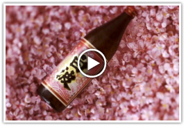 BSakura Shiranami Bottle version 15 seconds