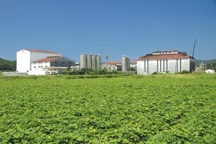 minamisatsuma