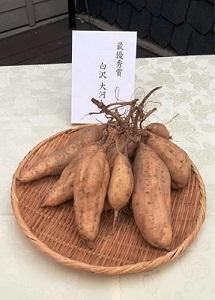 一株品評会_最優秀賞.JPG