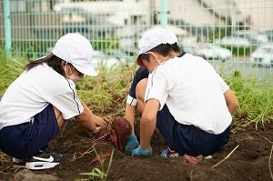 枕崎小学校-17小1.jpg