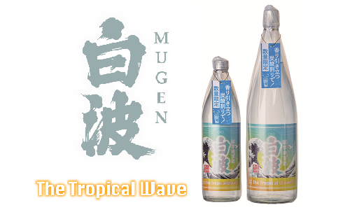 白波出品　12/1 000000000079-01-m.jpg?t=