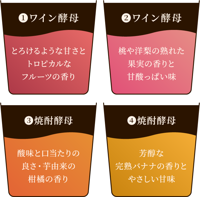 4種の酵母が生み出す香りのハーモニーの説明